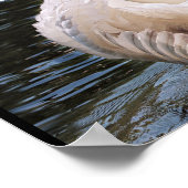 彼のウィングスの運白鳥のポスターの下で ポスター (角)