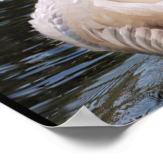 彼のウィングスの運白鳥のポスターの下で ポスター (角)