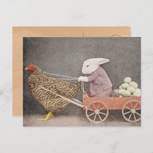 彼のチキンカートハガキとバニー ポストカード (正面/裏面)