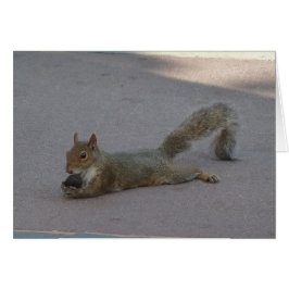 彼のナットを持つリス