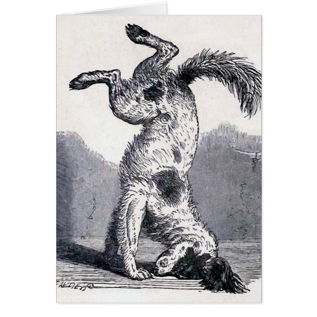 "彼のヘッドに"立っている犬 (正面)