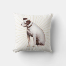 彼のマスターボイス・サンシャイン