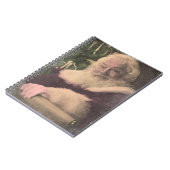 彼のリストを点検している実質のヴィンテージサンタクロース ノートブック (左側)