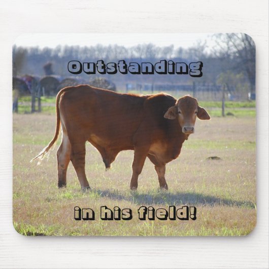 彼の分野のマウスパッドのBull Oustanding マウスパッド (正面)