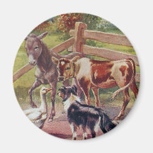 彼の友達全員とグレーのガチョウ