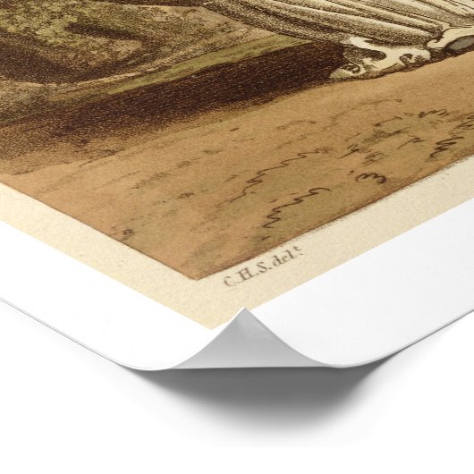 彼の司法上の習慣の中の薬で、Rによって刻まれた ポスター (角)