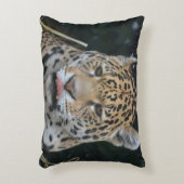 彼の唇を舐めているジャガー アクセントクッション (正面(垂直))