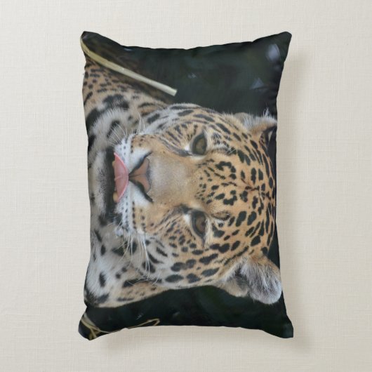 彼の唇を舐めているジャガー アクセントクッション (正面(垂直))