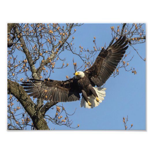 彼の大きな入り口 フォトプリント (正面)