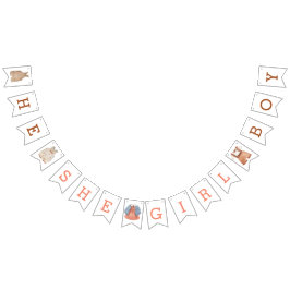 彼の女の子の男の子ジェンダーがバンティングのバナーを明らかにする バンティングフラッグ