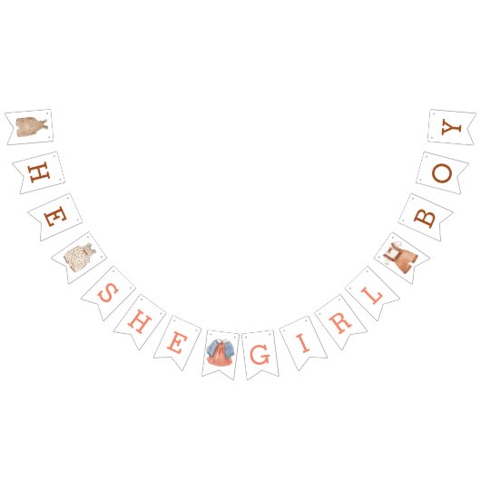 彼の女の子の男の子ジェンダーがバンティングのバナーを明らかにする バンティングフラッグ (全)