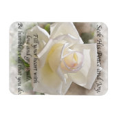 彼の平和を求める：ホワイトローズ マグネット (横)