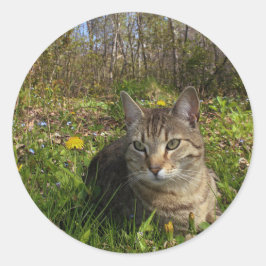 彼の心地よい地帯 ラウンドシール