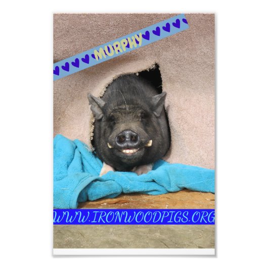 彼の快適な青い毛布の写真プリントとマーフィー フォトプリント            (正面)