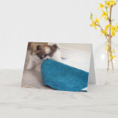 彼の敷物を動かしているHavaneseの子犬 カード (黄色い花)