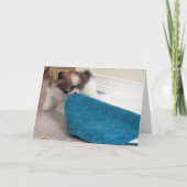 彼の敷物を動かしているHavaneseの子犬 カード (正面)