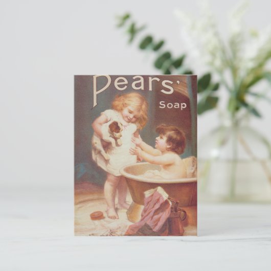 『彼の次のターン』、梨の年次 ポストカード (スタンド正面)