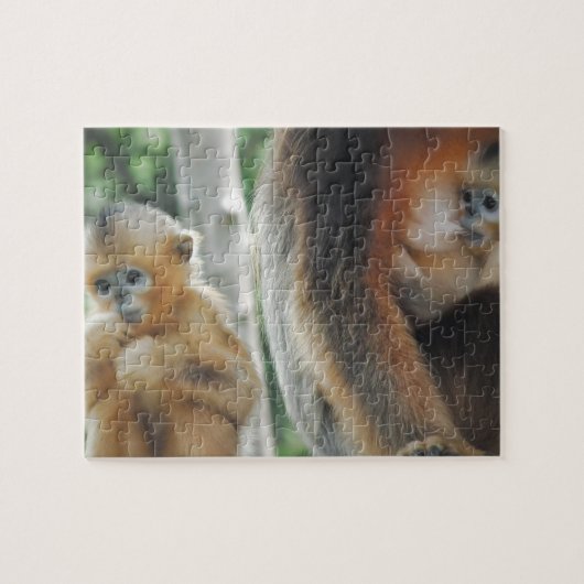 彼の母を持つベビー猿 ジグソーパズル (横)