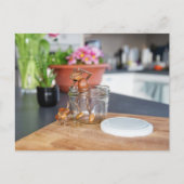 彼の犬をキッチンに連れて行くアコーン小妖精や小人 ポストカード (正面)