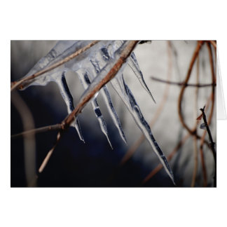 彼の痛烈なtouch