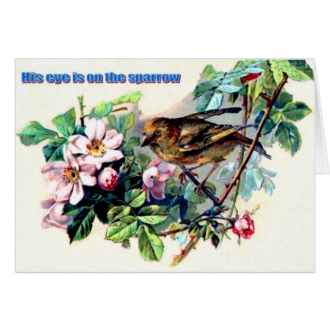 彼の目はすずめにあります (正面横)