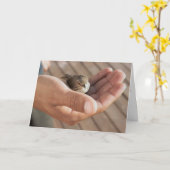 彼の目はすずめのキリスト教の挨拶状にあります カード (黄色い花)