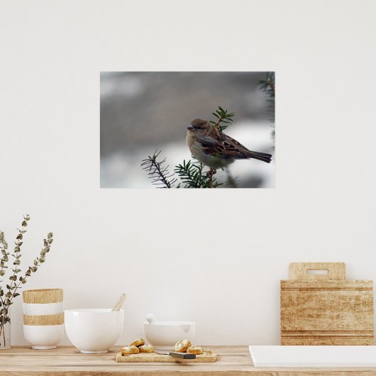 彼の目はスズメだ ポスター (キッチン)