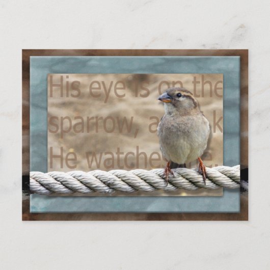 彼の目はスズメだ ポストカード (正面)