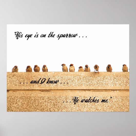 彼の目はスズメに向いている。.... ポスター (正面)