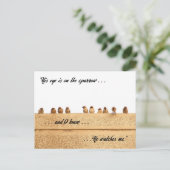 彼の目はスズメに向いている。.... ポストカード (スタンド正面)