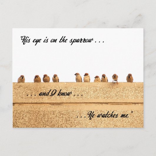 彼の目はスズメに向いている。.... ポストカード (正面)