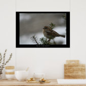 「彼の目はスパローのポスターだ! ポスター (キッチン)