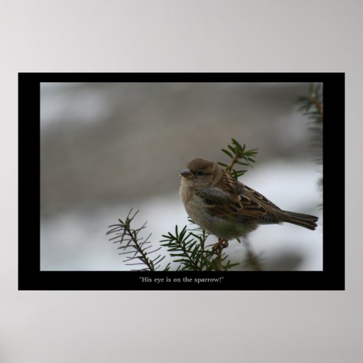 「彼の目はスパローのポスターだ! ポスター (正面)
