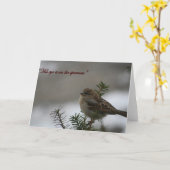 「彼の目は雀に向いている」 カード (黄色い花)