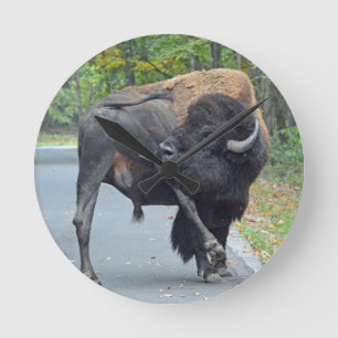 彼の睾丸を舐めるBullのおもしろいなバイソン ラウンド壁時計