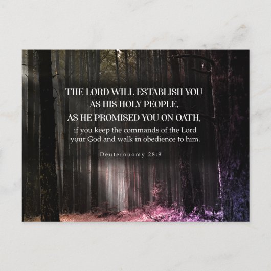 彼の約束（申命記28:9） ポストカード (正面)