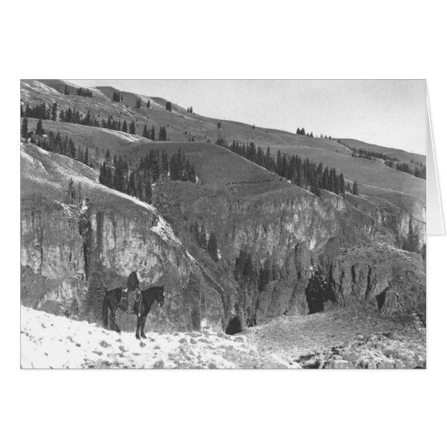 彼の群れから分かれているカウボーイ (正面横)