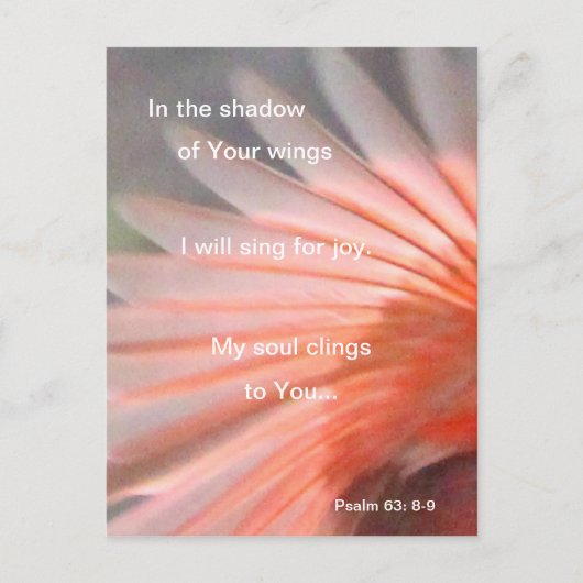 彼の羽の影に ポストカード (正面)