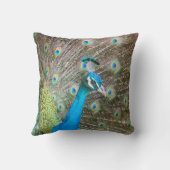 彼の羽を扇動した孔雀 – 青い緑 クッション (裏面)