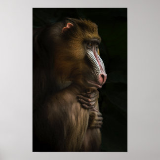 彼の考えでは ポスター