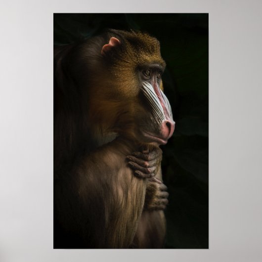 彼の考えでは ポスター (正面)