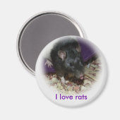 彼の舌の磁石を突き出した可愛いネズミ マグネット (正面/裏面)