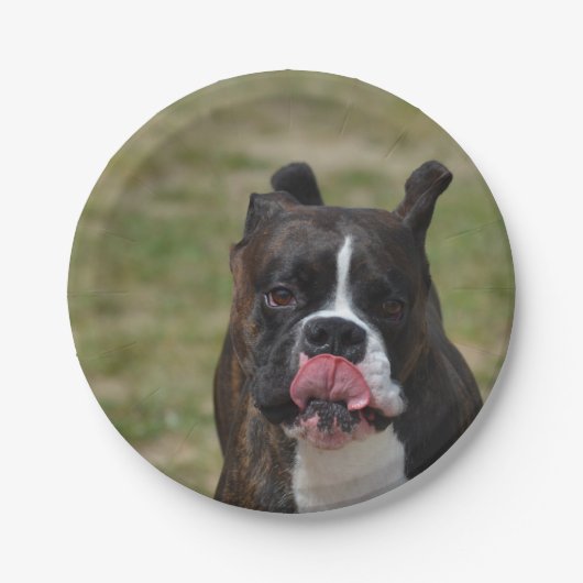 彼の舐めているボクサー犬は切り刻みます ペーパープレート (正面)