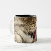 彼の足を舐めている虎猫猫 ツートーンマグカップ (正面左)