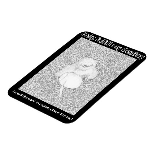 彼の運命の野生生物のラトの毒殺を達成す救る マグネット (左側)