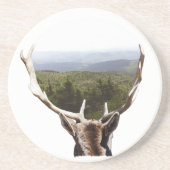 彼の領地 コースター (正面)