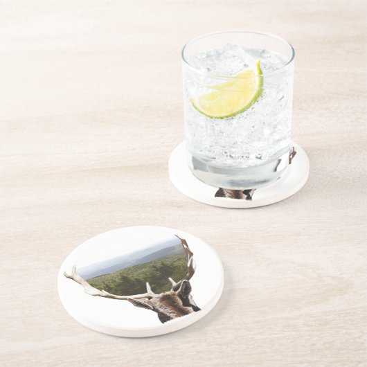 彼の領地 コースター (側面)