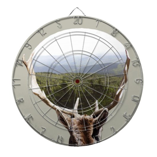 彼の領地 ダーツボード (正面)