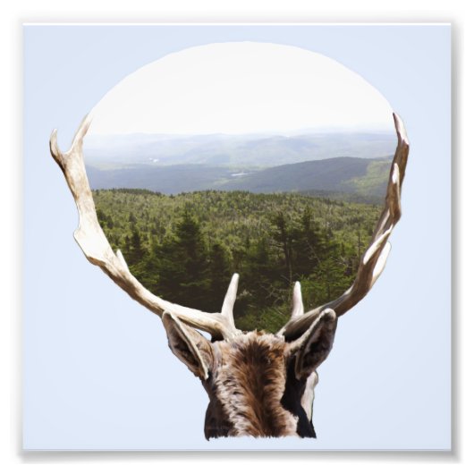 彼の領地 フォトプリント            (正面)