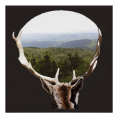 彼の領地 ポスター (正面)